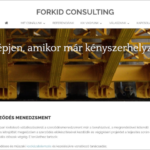 Forkid Consulting